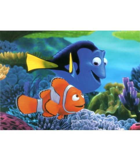 Searching for Nemo