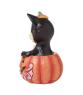Figaro in Jack-O-Lantern Mini