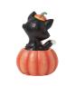 Figaro in Jack-O-Lantern Mini