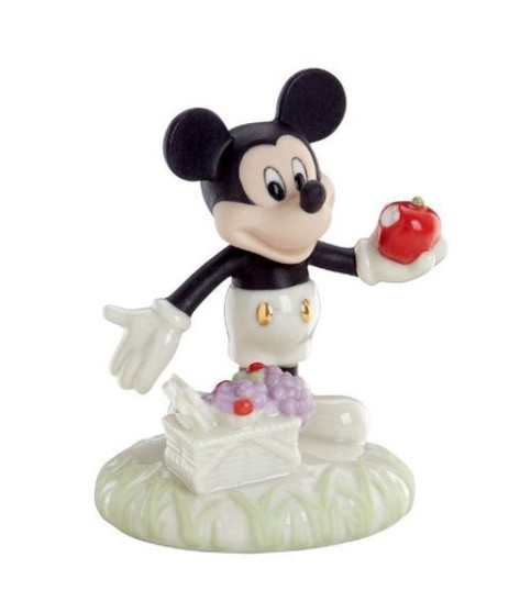 A picnic with Mickey