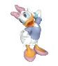 Definitive Daisy