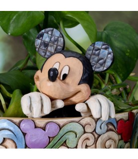 Mickey Cachepot planter Character