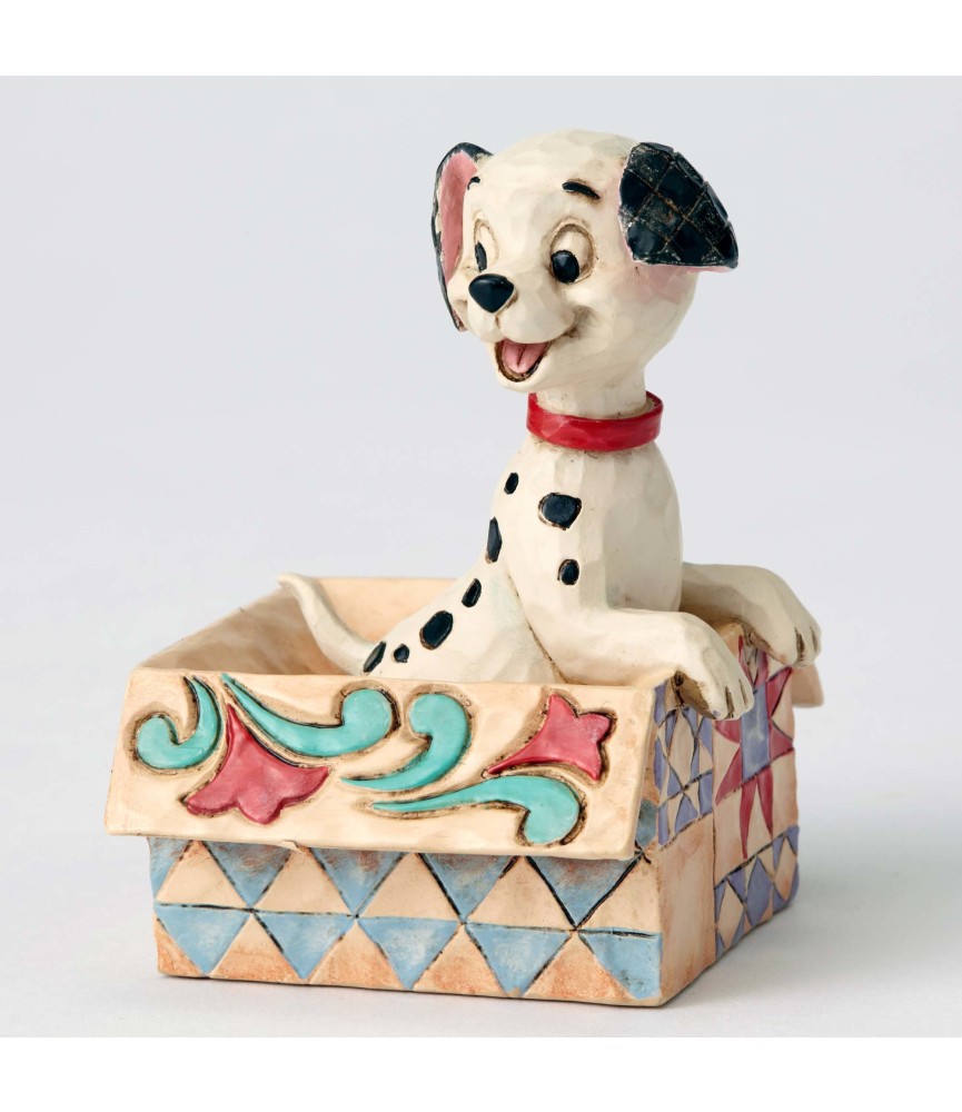 Mini Lucky in a box