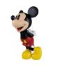 Mickey Mouse Statement