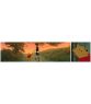 Winnie the Pooh